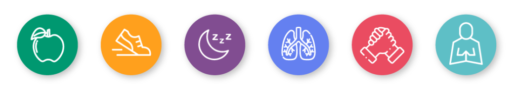 pilares-medicina-del-estilo-de-vida